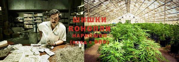 стафф Богородицк