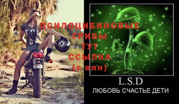 стафф Богородицк