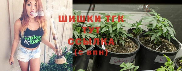 стафф Богородицк