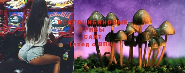 гашиш Богданович