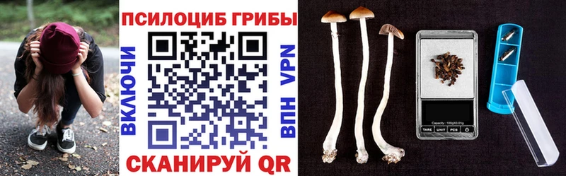 Псилоцибиновые грибы мухоморы  где найти   Кораблино 